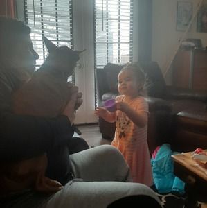 Meet your Posher, Charles